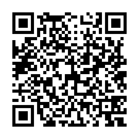 QR code for 4729383