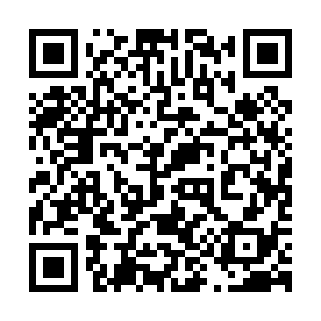 QR code for 491038