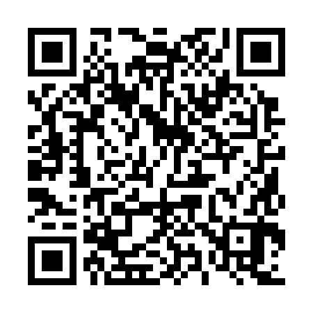 QR code for 491382