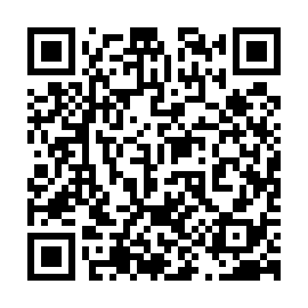 QR code for 491538