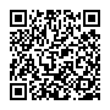 QR code for 491628
