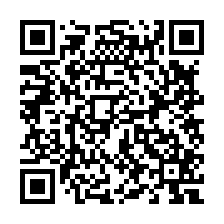QR code for 492805