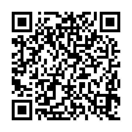 QR code for 492993