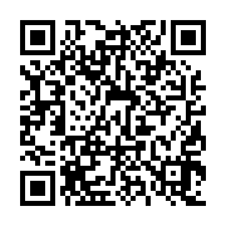QR code for 493017