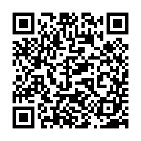 QR code for 493041