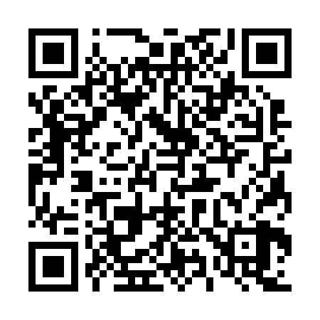 QR code for 493228