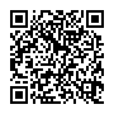 QR code for 493335