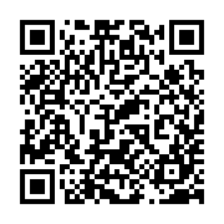 QR code for 493384