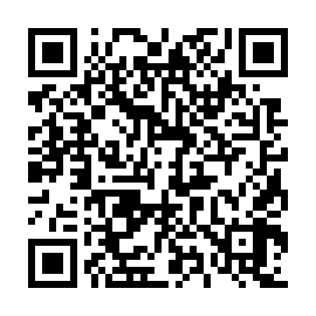 QR code for 493748