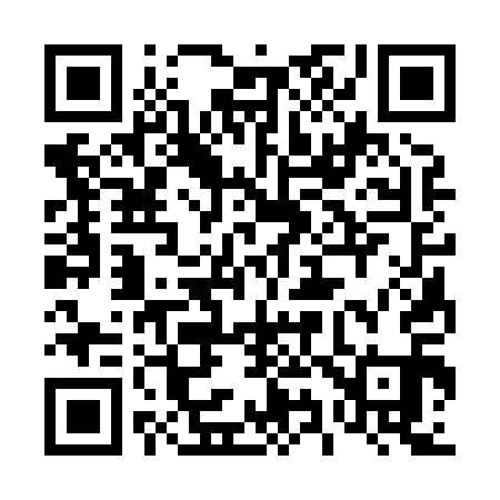 QR code for 493811