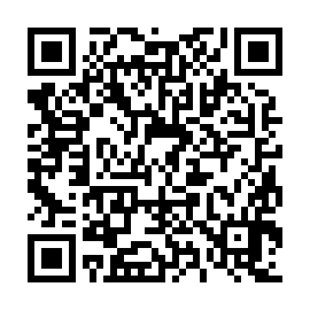 QR code for 493894