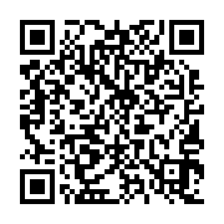QR code for 495213