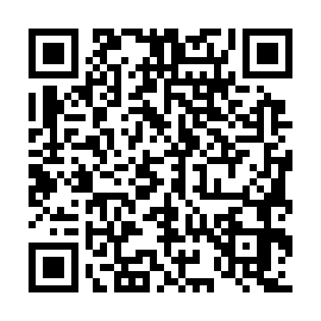QR code for 4953738