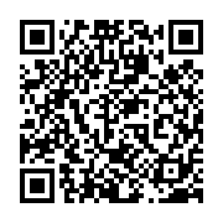QR code for 495411