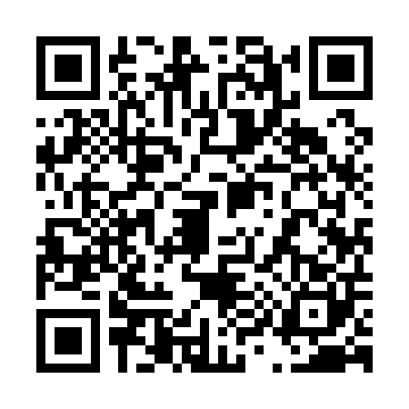 QR code for 4991006