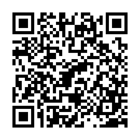 QR code for 4993462