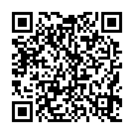 QR code for 499375