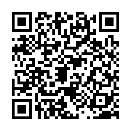 QR code for 4993798