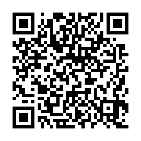 QR code for 500733