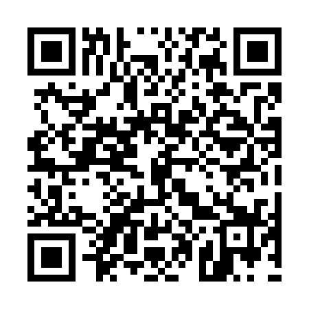 QR code for 500739