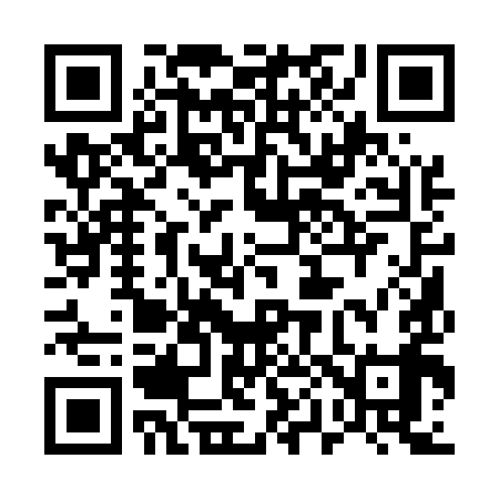 QR code for 501599