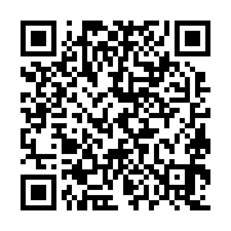 QR code for 507291