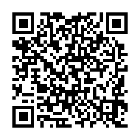 QR code for 509393