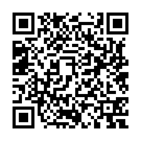 QR code for 5228305
