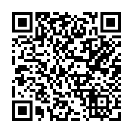 QR code for 523333