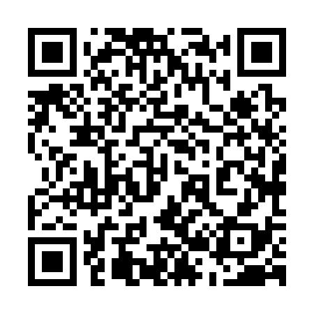 QR code for 528338