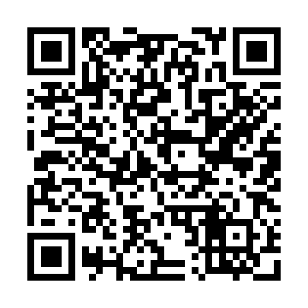 QR code for 529380