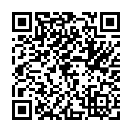 QR code for 5294301