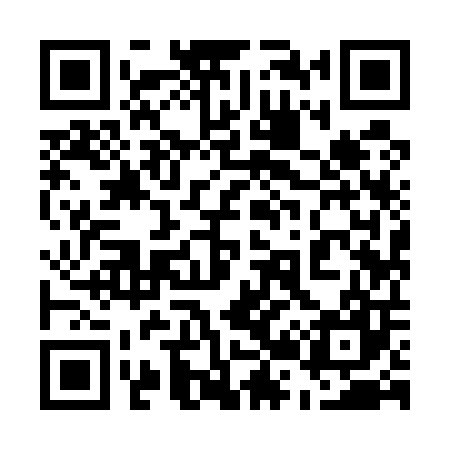 QR code for 529507