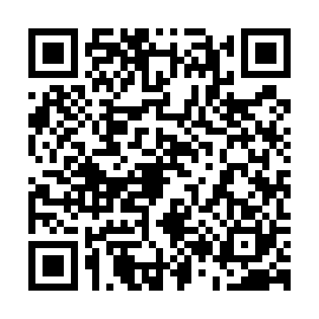 QR code for 5295201