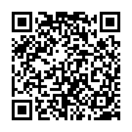 QR code for 533365