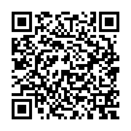 QR code for 5386500