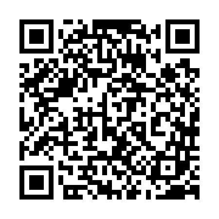QR code for 538743