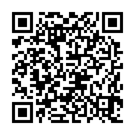 QR code for 540383