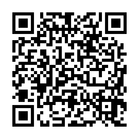 QR code for 5411871