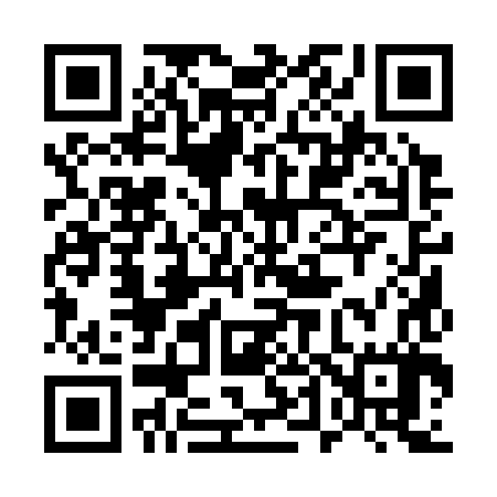 QR code for 541387