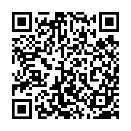 QR code for 541603
