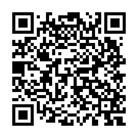 QR code for 541641