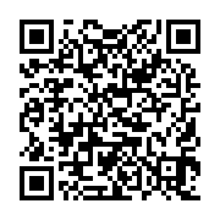 QR code for 541911