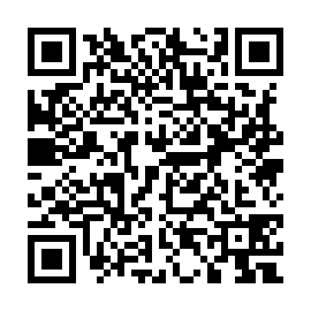 QR code for 5419384