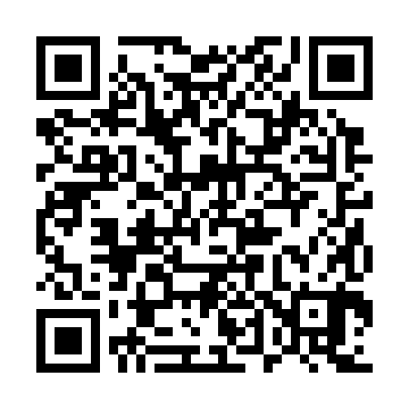 QR code for 542380