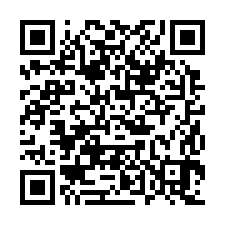 QR code for 542383