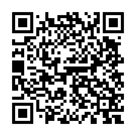 QR code for 542462