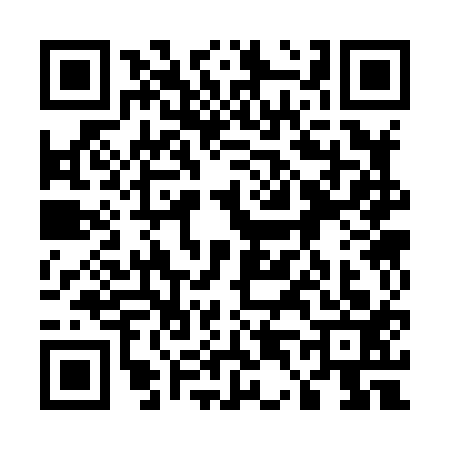 QR code for 5438133