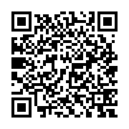 QR code for 5453793