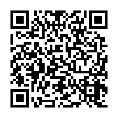 QR code for 5463380